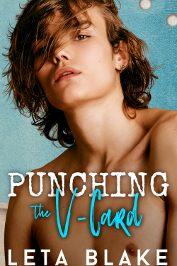 Punching the V-Card Final Ebook